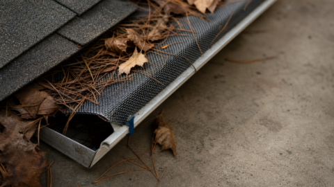 Best Rated Gutter Guards: Top Picks Tested for 2026